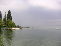 �J�オ��̃��}���� 